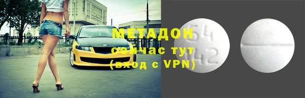 прущие грибы Галич
