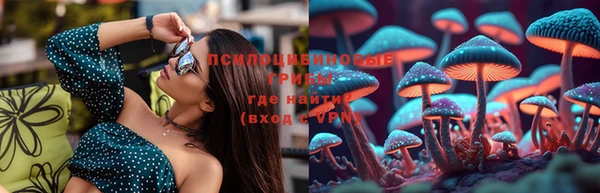 спайс Новозыбков