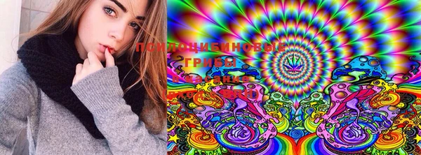 MDMA Новодвинск