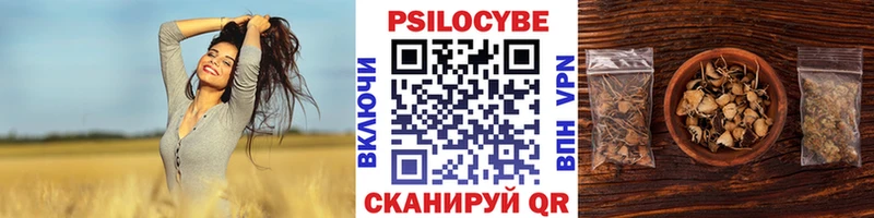 Псилоцибиновые грибы прущие грибы закладка Ясногорск